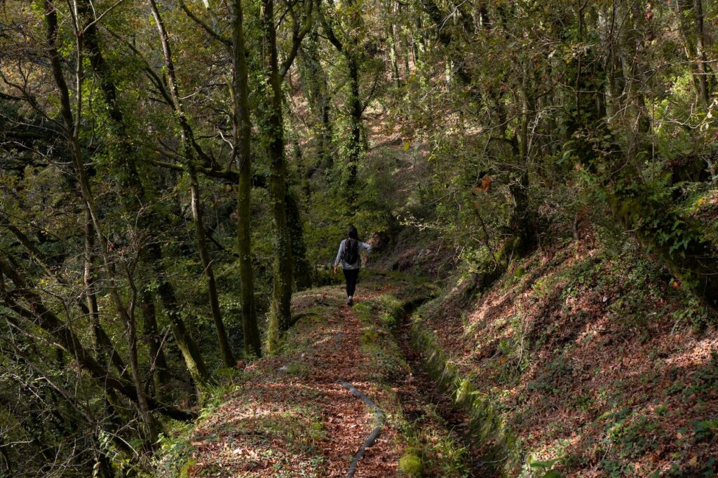 Exploring Nature Solo: Outdoor Activities for Adventurous Solo Travelers